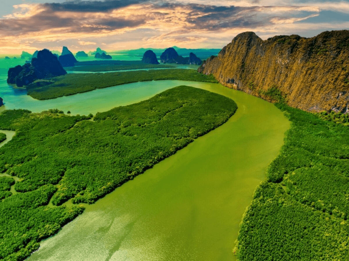 coral island phuket beach
