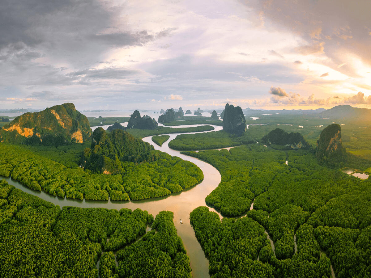 coral island phuket beach